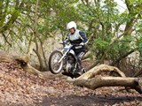 _DSC0071