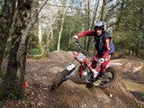 BS1_3660